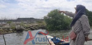 Ratusan Mangrove mati di gresik Ratusan mangrove mati di kawasan pesisir Manyar Mengare Gresik diduga akibat aktivitas reklamasi dan urukan limbah B3
