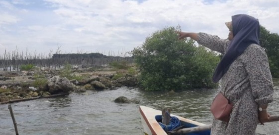 Ratusan mangrove mati di kawasan pesisir Manyar Mengare Gresik diduga akibat aktivitas reklamasi dan urukan limbah B3